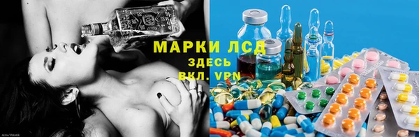 ECSTASY Дмитровск