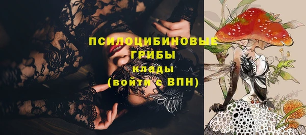 ешки Дмитров