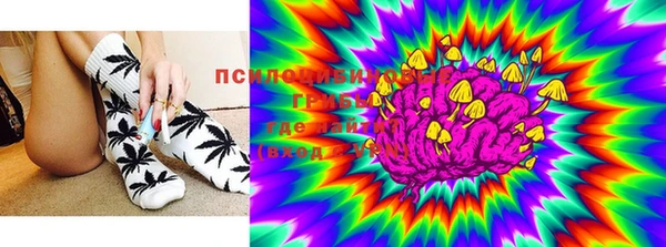 ешки Дмитров