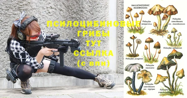 ешки Дмитров