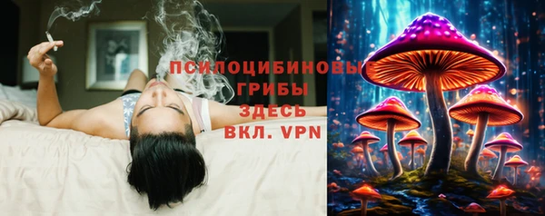 ECSTASY Дмитровск