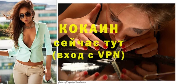 ECSTASY Дмитровск