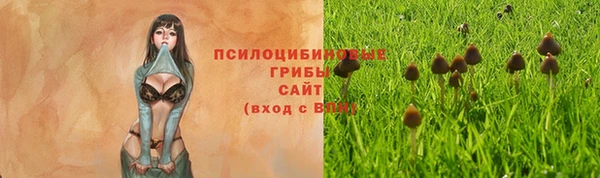 ешки Дмитров