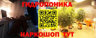 прущая мука Можга