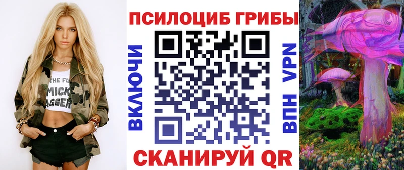Псилоцибиновые грибы Psilocybine cubensis  Долгопрудный 