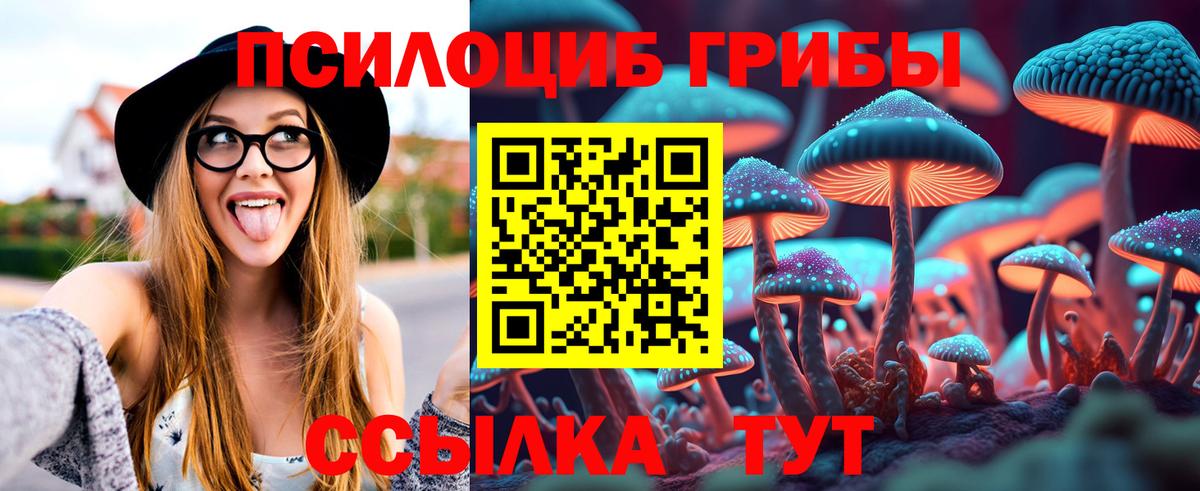 Долгопрудный  Галлюциногенные грибы Psilocybine cubensis  Галлюциногенные грибы мухоморы  Вход с VPN 